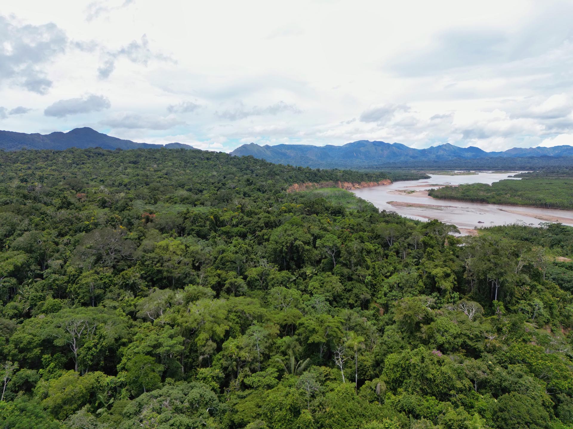Gallery Selva_0021_Layer 56