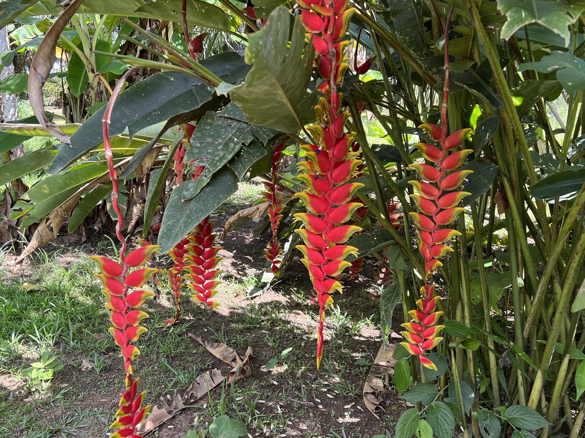 Gallery Selva_0022_Layer 55