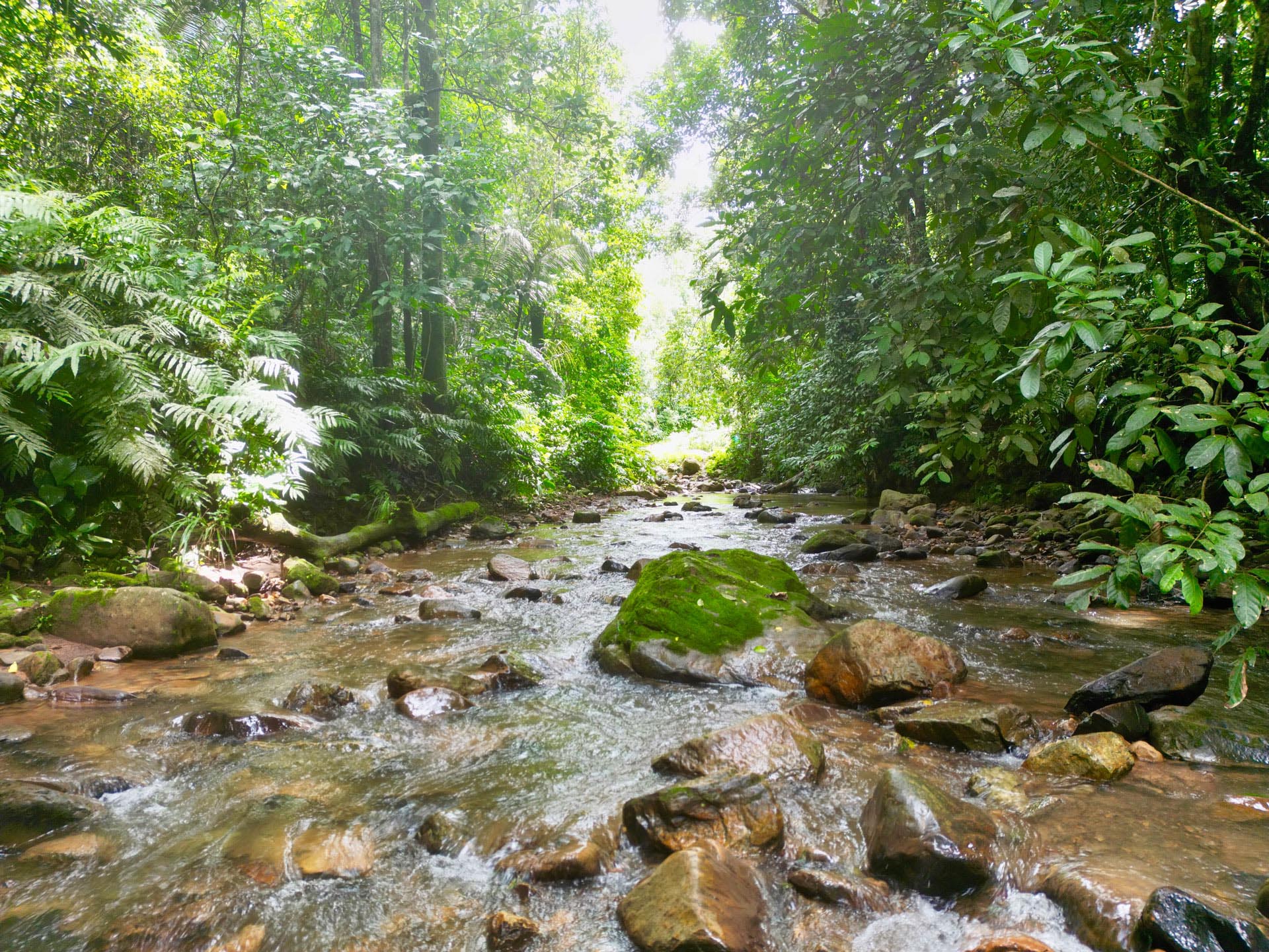 Gallery Selva_0038_Layer 39