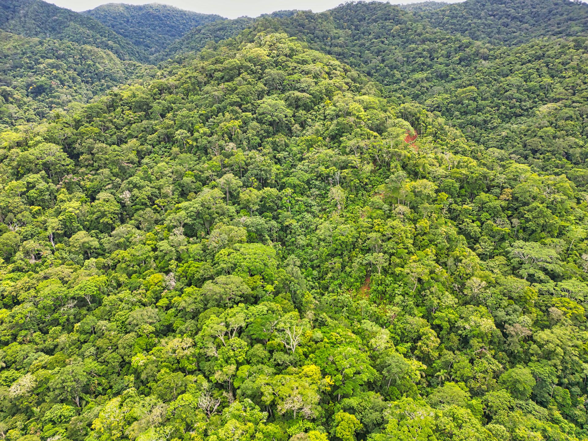Gallery Selva_0041_Layer 36