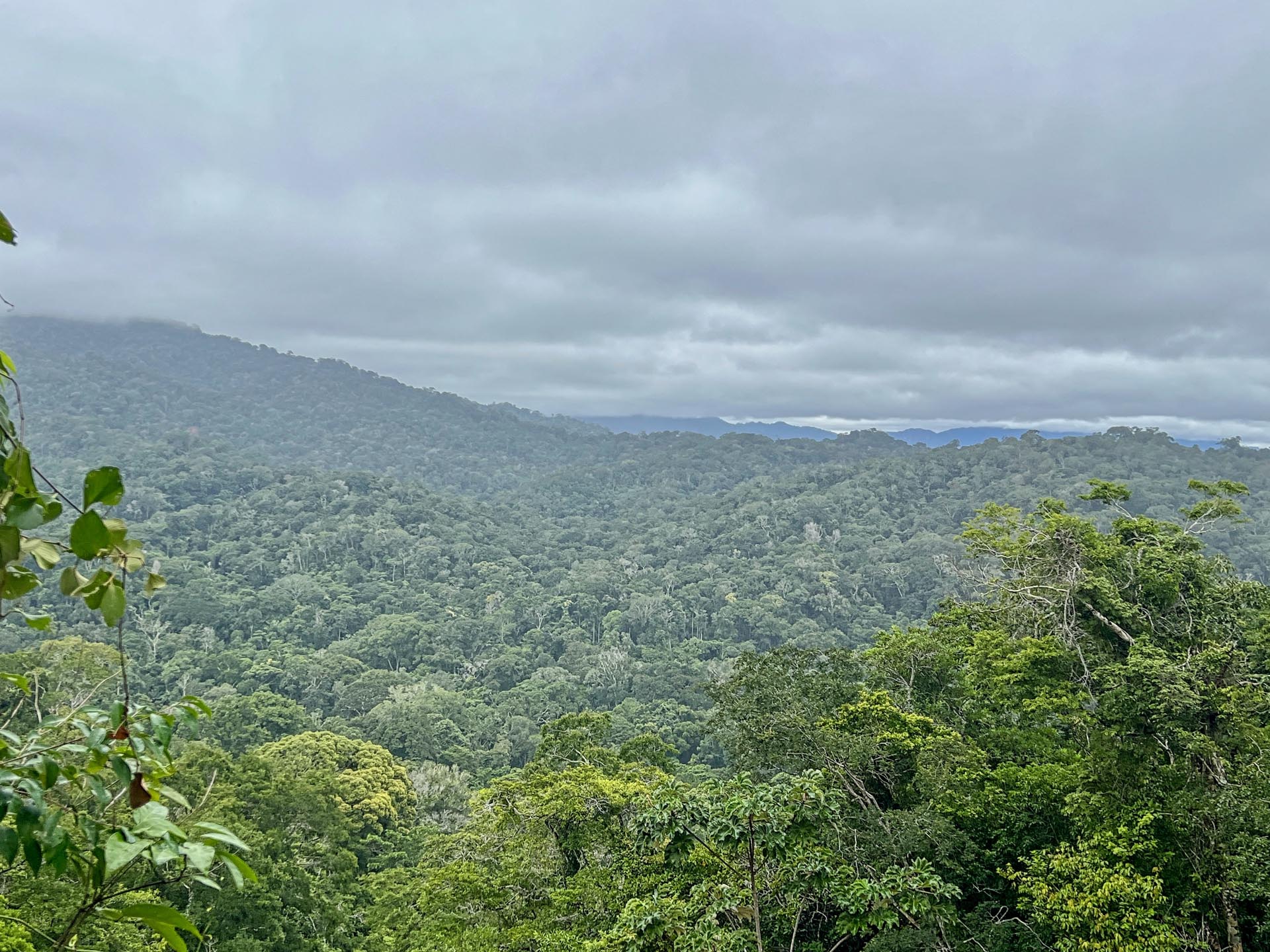 Gallery Selva_0054_Layer 23
