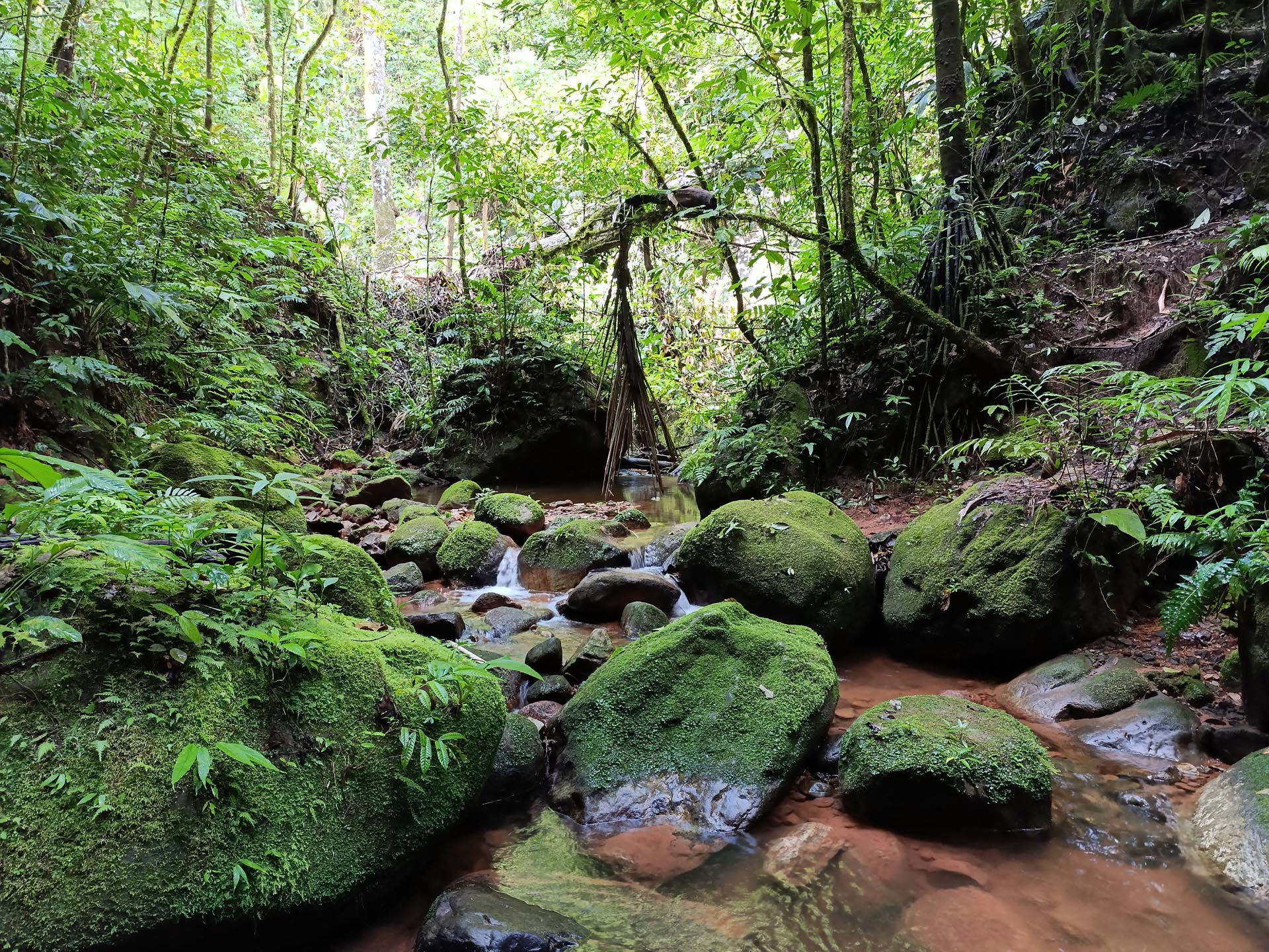 Gallery Selva_0061_Layer 16