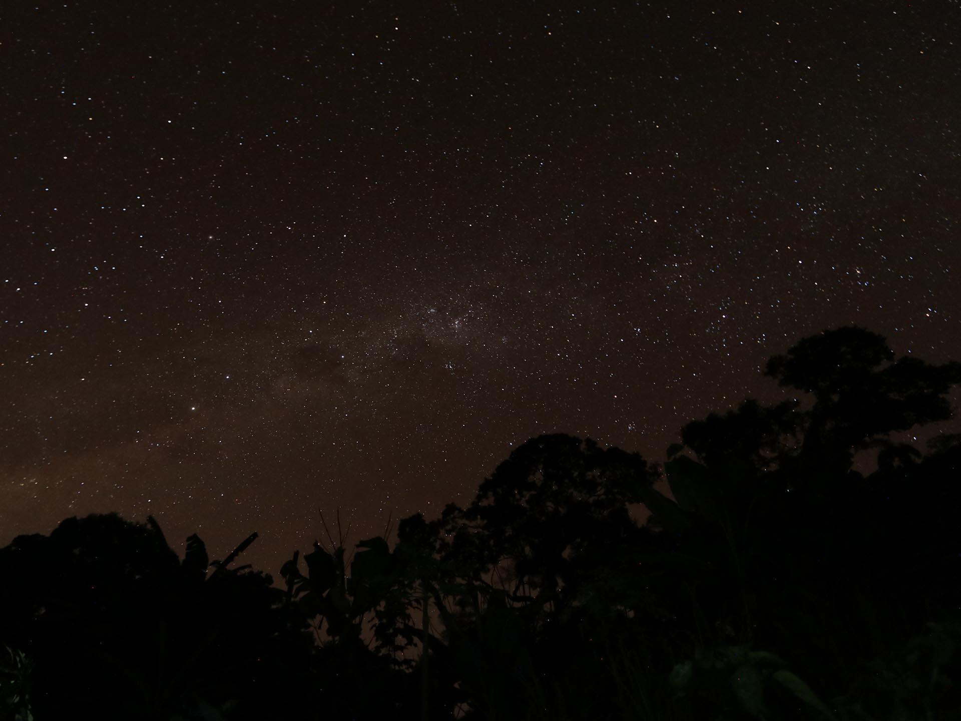 Gallery Selva_0068_Layer 9