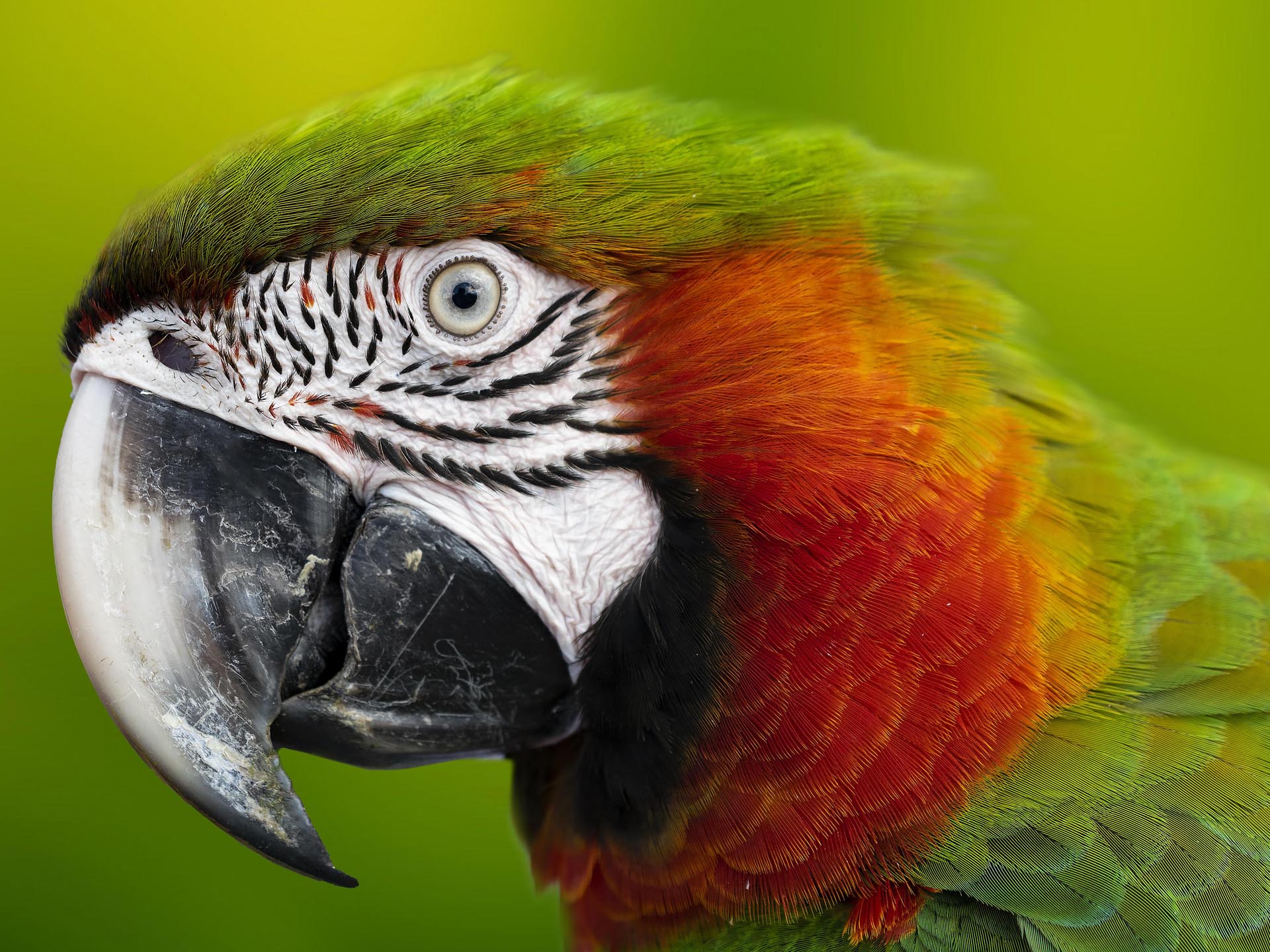 Gallery Selva_0072_Layer 5