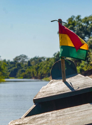Boat tour in the Pampas along the Yacuma River – spot monkeys, caimans, pink river dolphins, and tropical birds in the Bolivian Amazon