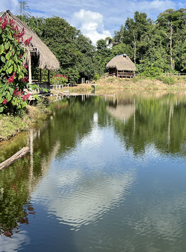 Lagoon near Madidi Kullpana Ecolodge in the Bolivian Amazon – eco-tours and indigenous jungle experiences