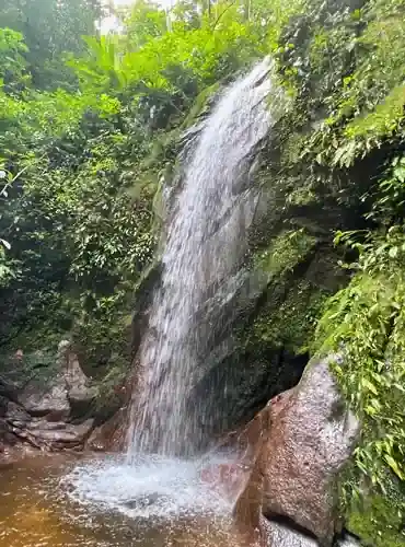 Discover stunning waterfalls in Bolivia’s Madidi National Park. Guided jungle tours lead visitors through tropical rainforest to rivers, waterfalls, and unique wildlife.