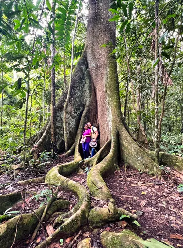 Guided jungle walks in Madidi National Park with certified local guides Bolivia