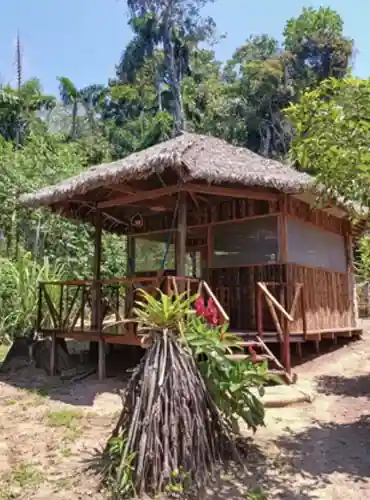 Overnight jungle experience in traditional cabañas surrounded by rainforest sounds, fireflies and starry sky Madidi National Park Bolivi