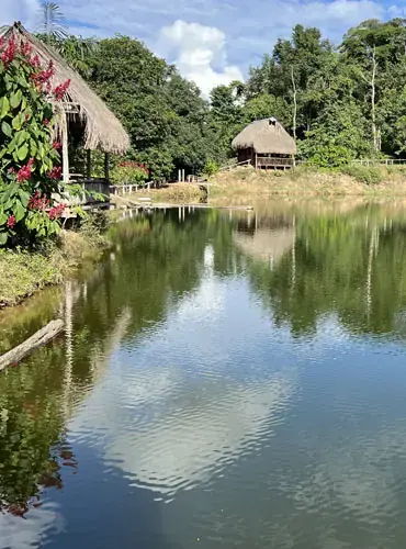 Relaxing in Madidi National Park dipping feet into refreshing river water surrounded by Amazon rainforest Bolivia