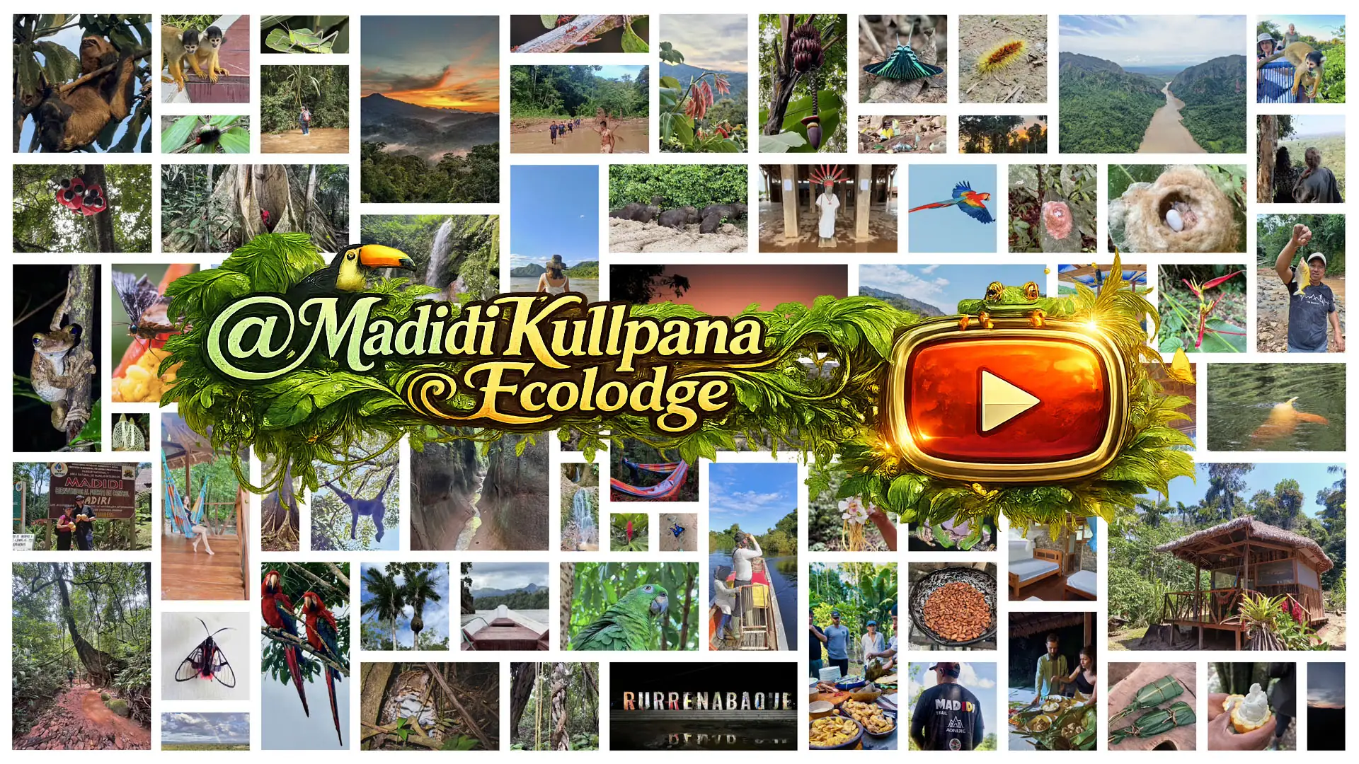 Link to the official YouTube channel of Madidi Kullpana Ecolodge.