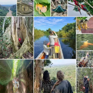 Kombi Jungle & Pampas Tours