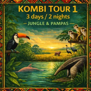 Combined jungle and Pampas tour with rainforest trekking and wildlife boat safaris in Madidi and the Yacuma wetlands, Bolivia.