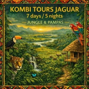 Premium Amazon expedition combining jungle trekking in Madidi National Park and wildlife safaris in the Pampas del Yacuma.