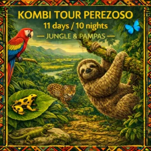 Extended Amazon expedition with jungle exploration in Madidi National Park, river journey on the Río Tuichi, and wildlife safaris in the Pampas del Yacuma.