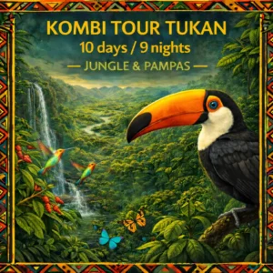 Extended Amazon expedition combining rainforest trekking in Madidi National Park and wildlife observation in the Pampas del Yacuma.