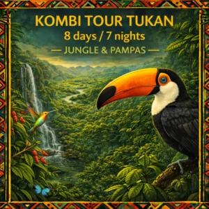 Extended Amazon expedition combining rainforest trekking in Madidi National Park and wildlife observation in the Pampas del Yacuma.