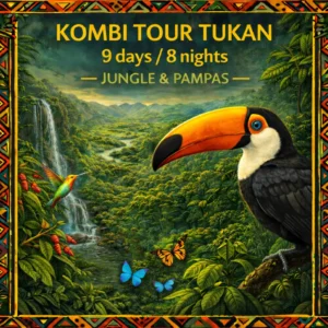 Extended Amazon expedition combining rainforest trekking in Madidi National Park and wildlife observation in the Pampas del Yacuma.