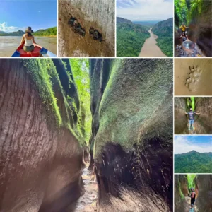 Boat day tour on the Río Beni to the Cañón del Bala with guided hike in the Tacana territory of the Bolivian Amazon.
