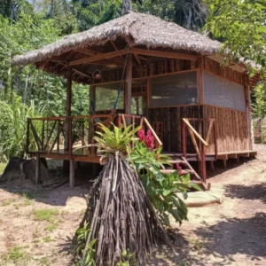 Ecolodge Stays