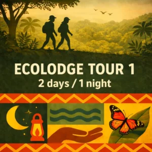 Ecolodge Tour in Madidi National Park with jungle walk and traditional rainforest cabin.