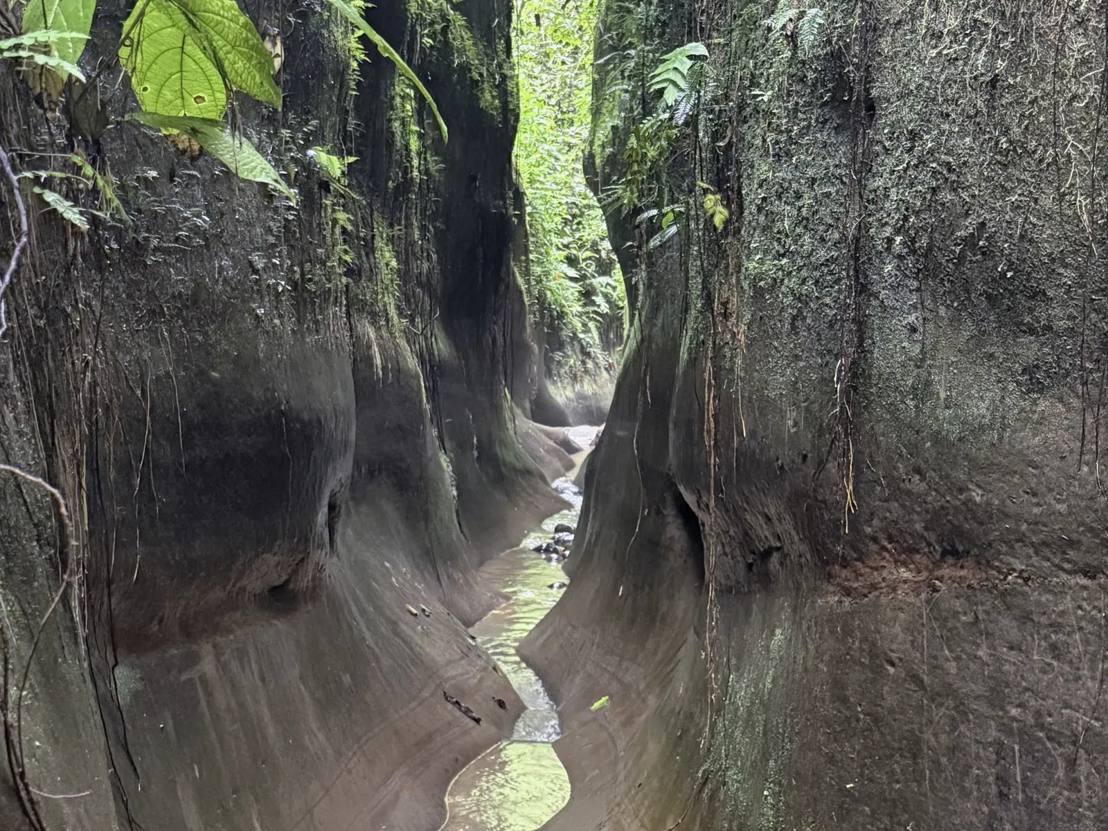 Cañón del Bala Tours