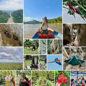 Madidi Jungle Day Tours