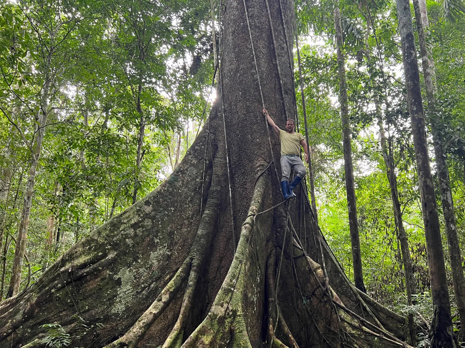Madidi Jungle Tours