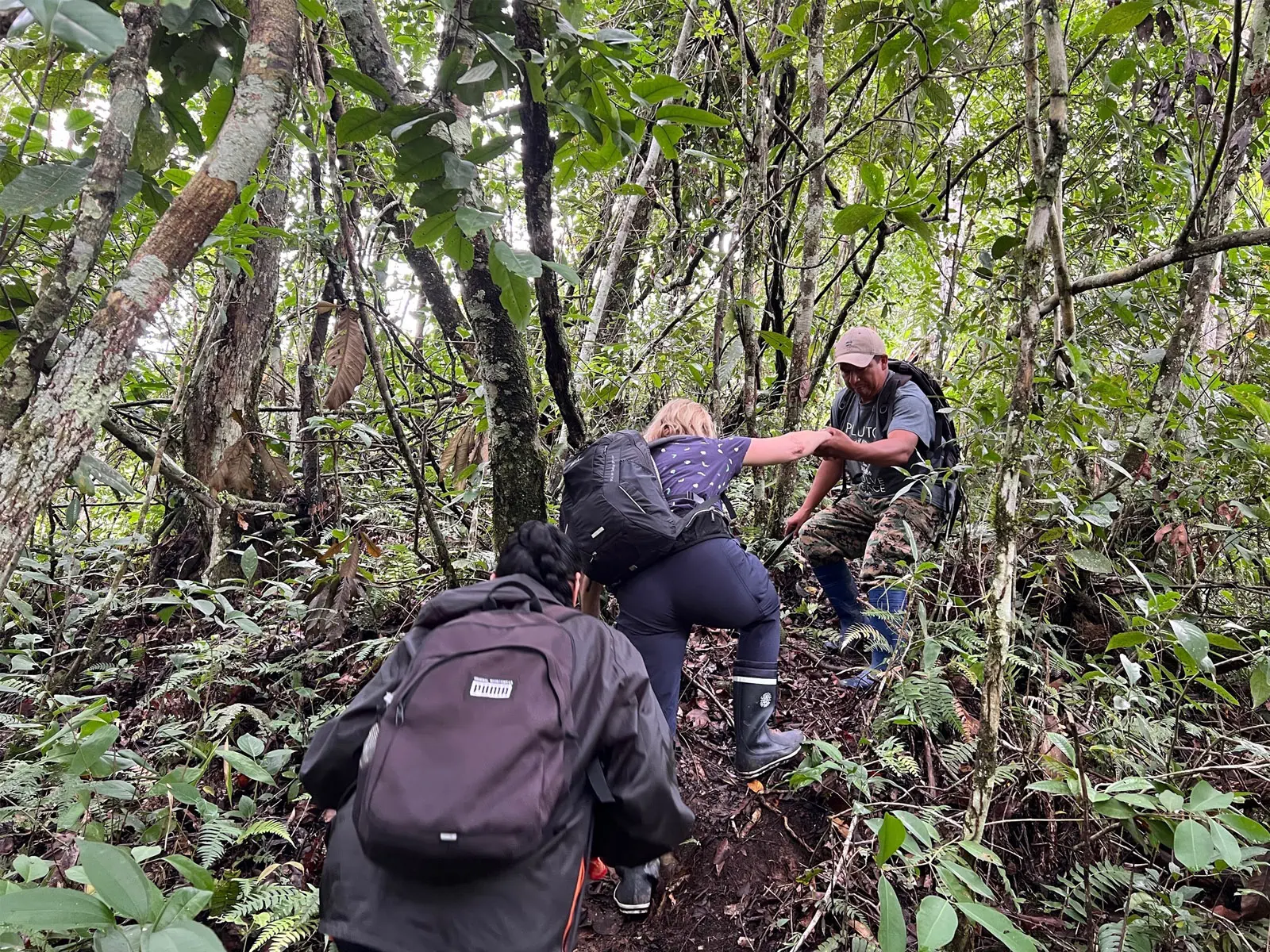 Madidi Jungle Tours