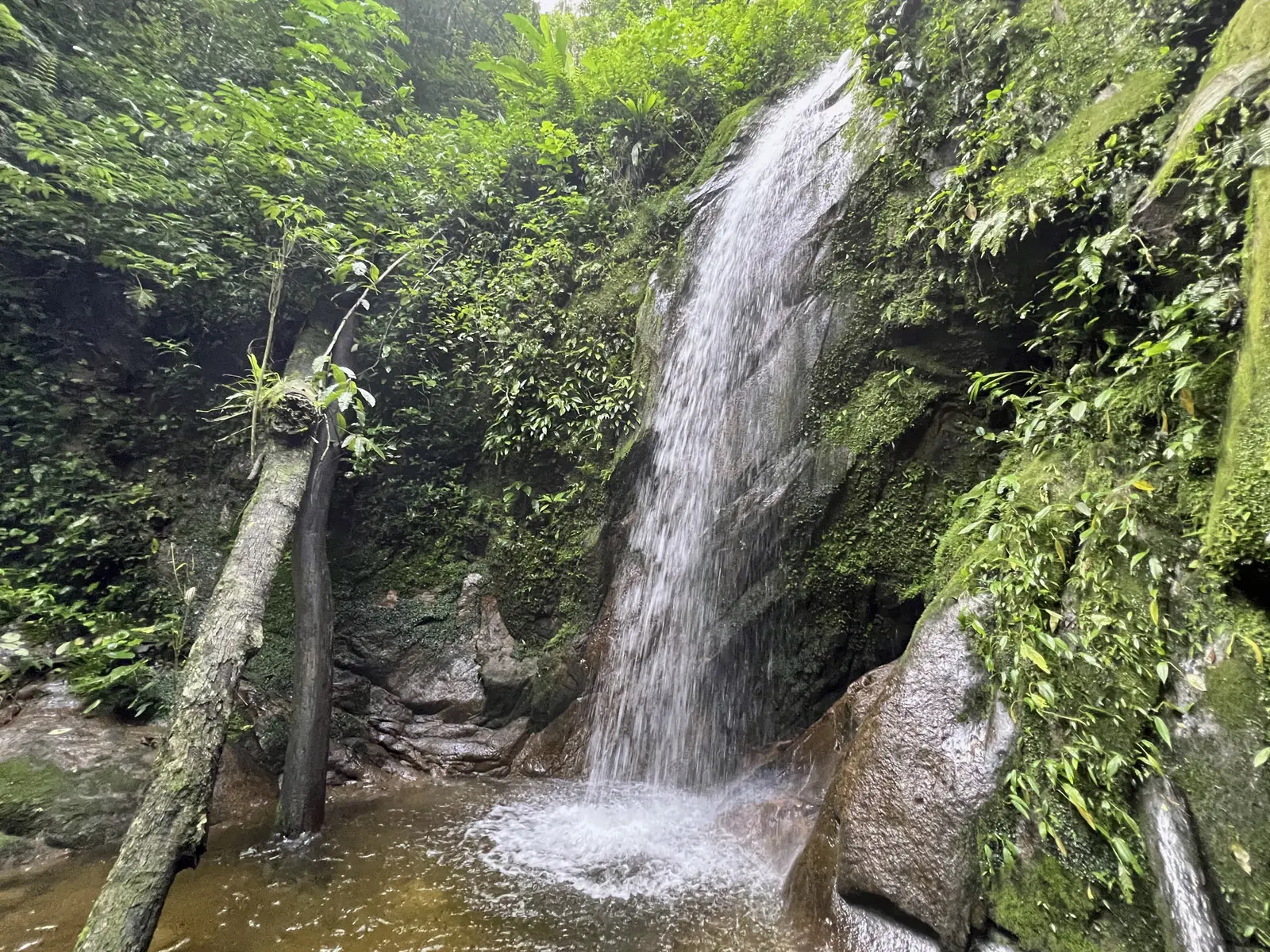Madidi Jungle Tours