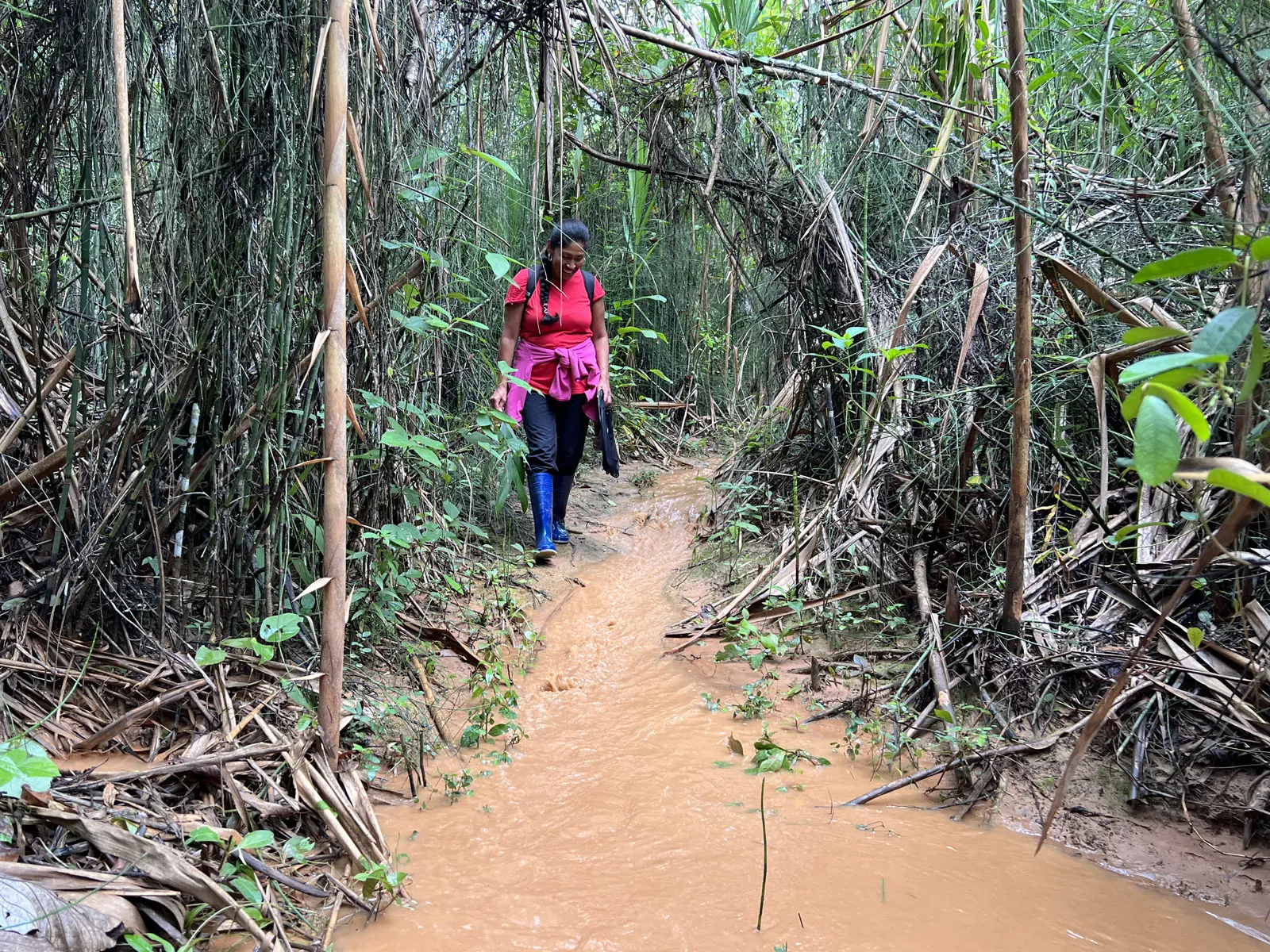 Madidi Jungle Tours