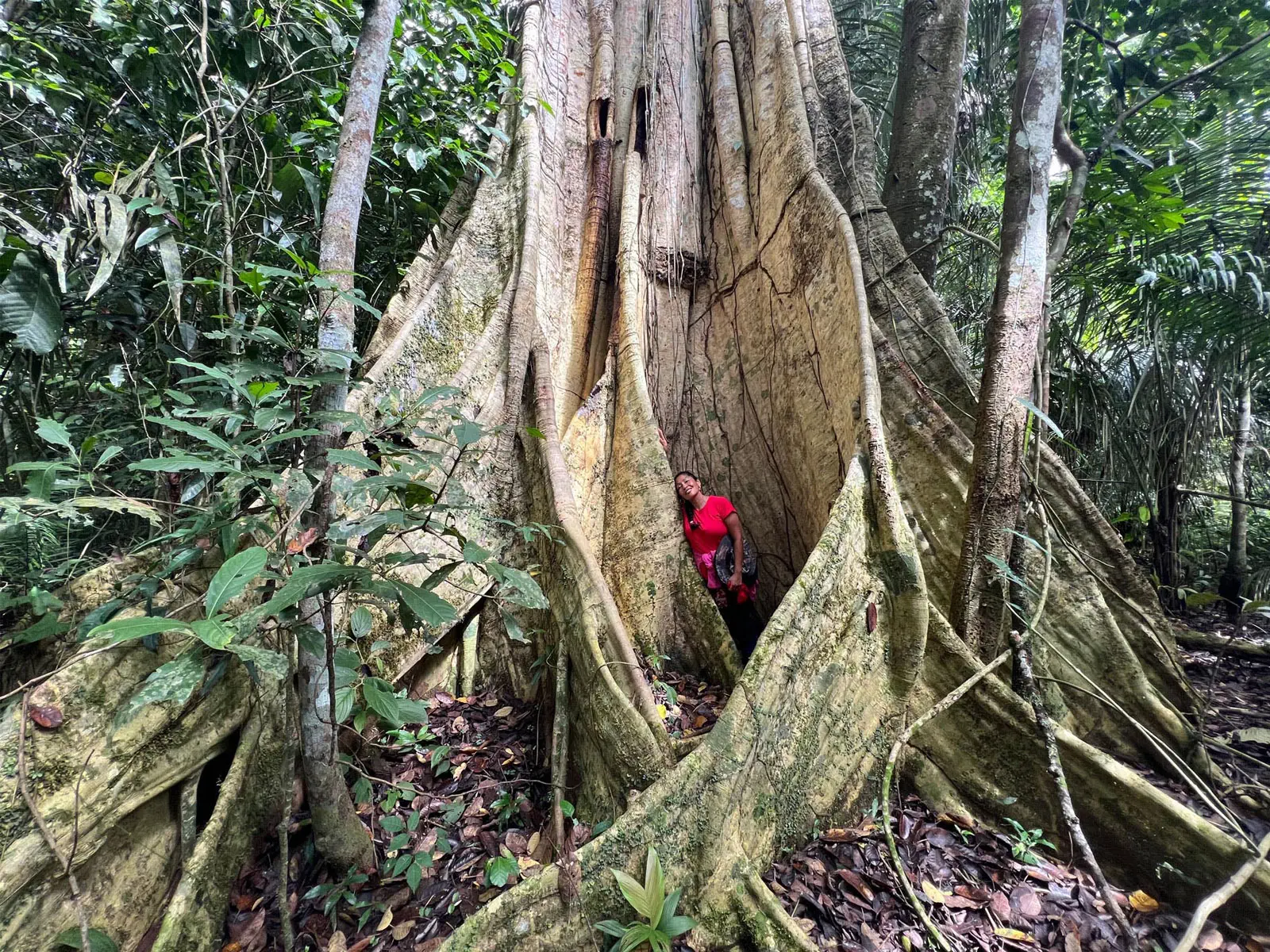Madidi Jungle Tours