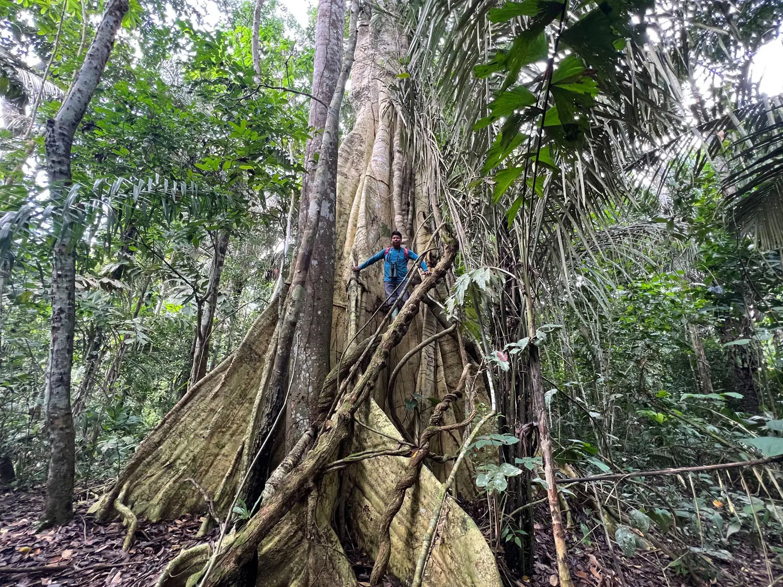 Madidi Jungle Tours