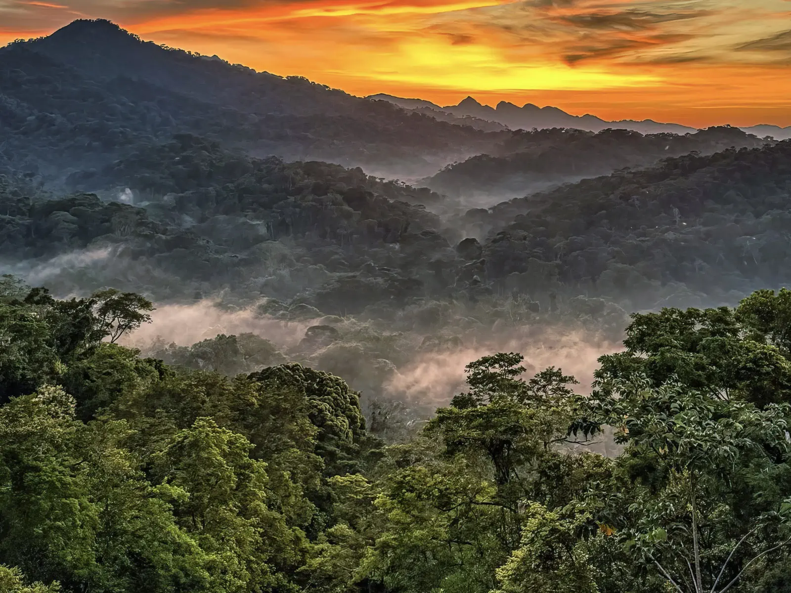 Madidi Jungle Tours