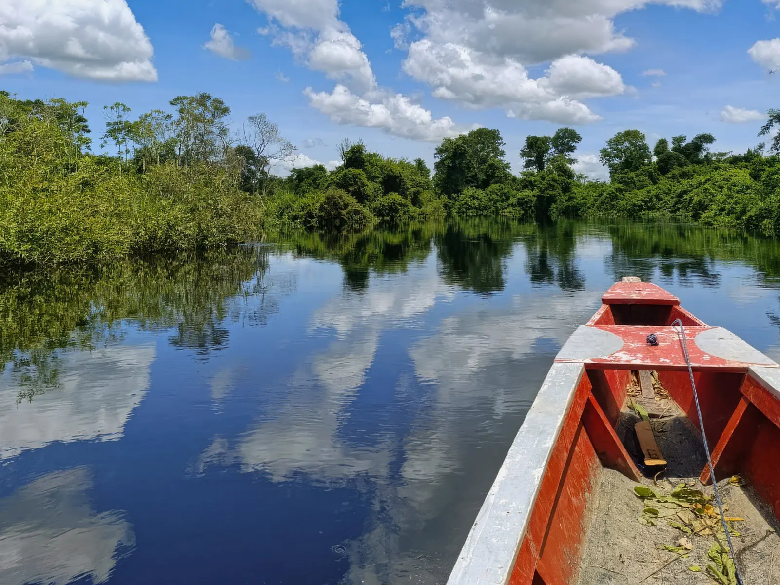 pampas yacuma wildlife 34