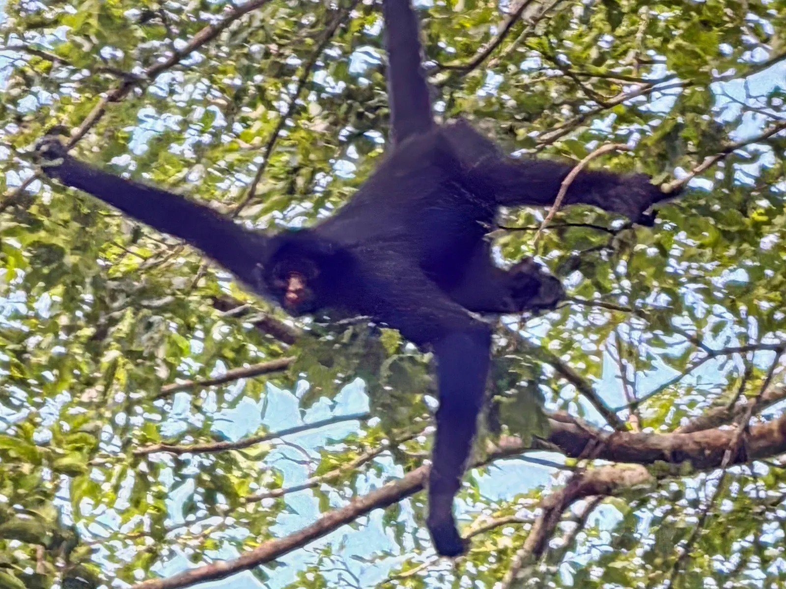 pampas yacuma wildlife 57